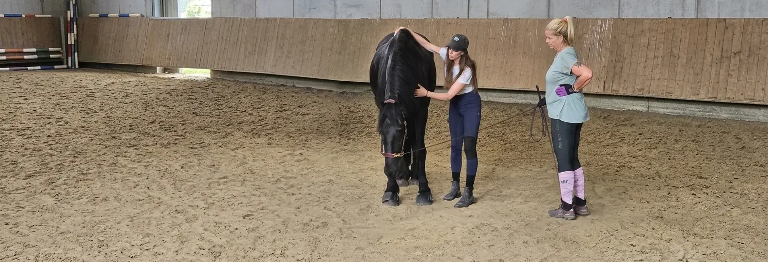 Carolin Gerhartz analysiert gemeinsam mit einer Kundin und ihrem Pferd die Trainingssituation in der Halle