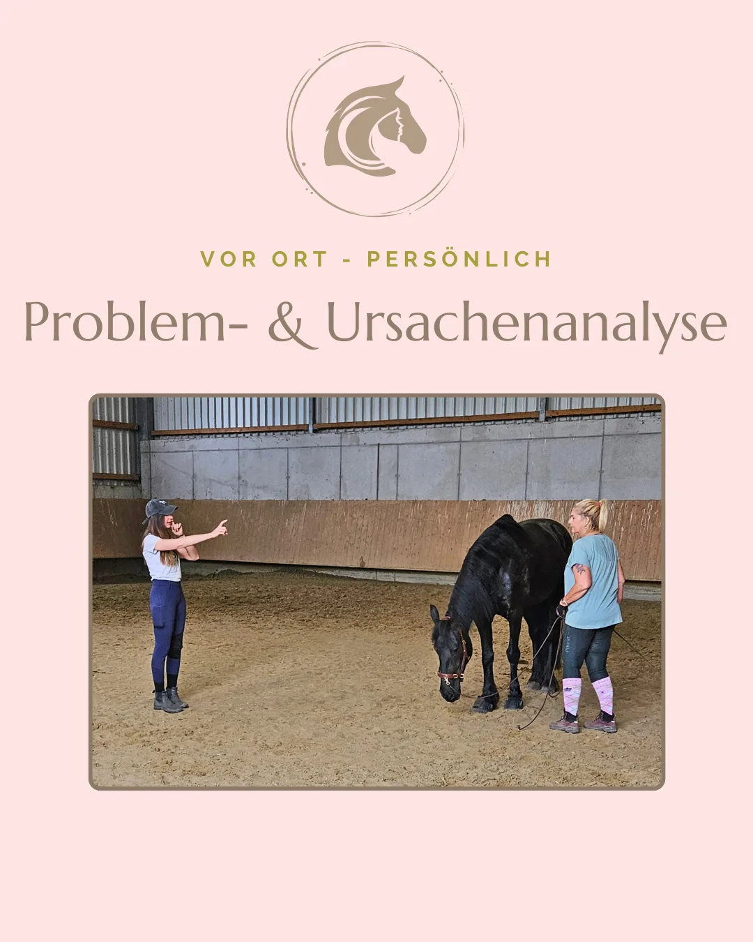Problem- und Ursachenanalyse vor Ort: Carolin Gerhartz bei der Arbeit mit Pferd und Kundin in der Reithalle